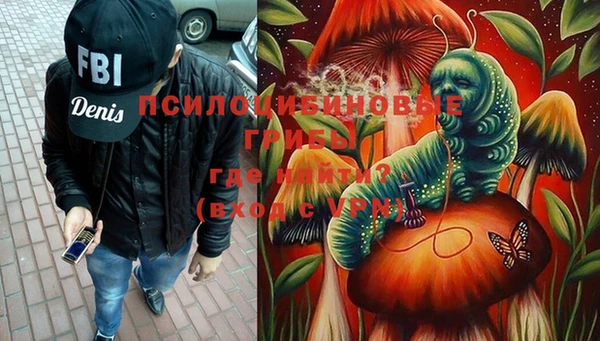 a pvp Богородицк